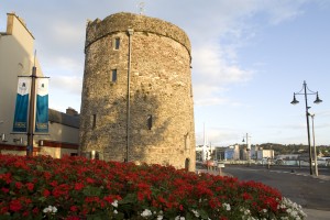 Waterford Day Tour from Cork