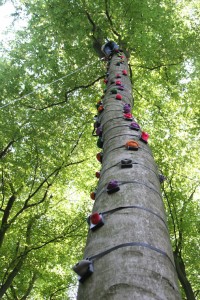 East Cork Outdoor Adventure Centre