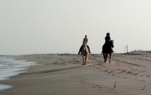 Beach Horse Riding Cork