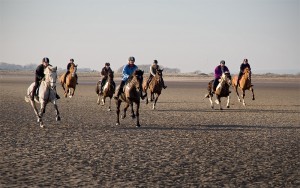 Beach Horse Riding Cork